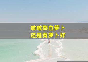 咳嗽熬白萝卜还是青萝卜好