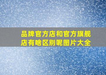 品牌官方店和官方旗舰店有啥区别呢图片大全