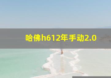 哈佛h612年手动2.0