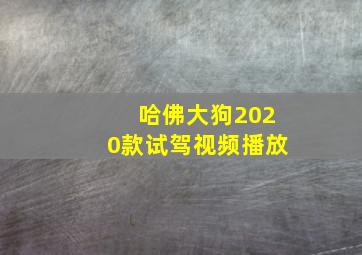 哈佛大狗2020款试驾视频播放