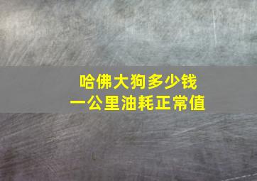 哈佛大狗多少钱一公里油耗正常值