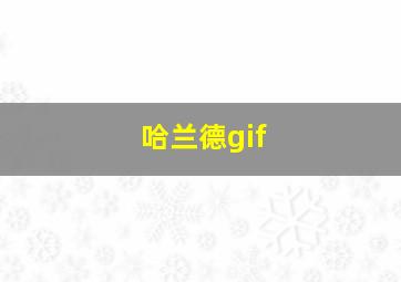 哈兰德gif