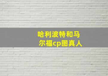 哈利波特和马尔福cp图真人