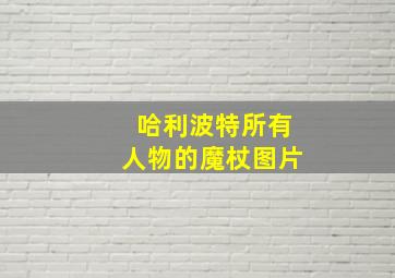 哈利波特所有人物的魔杖图片