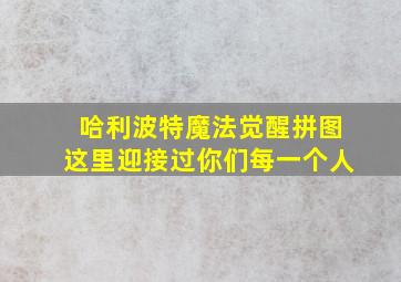 哈利波特魔法觉醒拼图这里迎接过你们每一个人