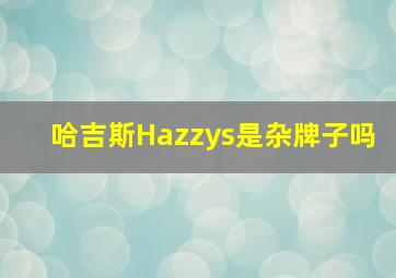 哈吉斯Hazzys是杂牌子吗