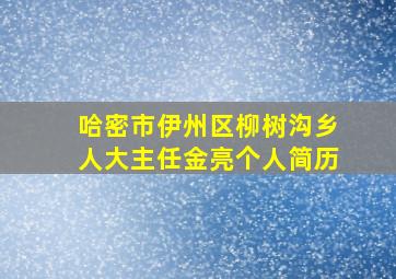 哈密市伊州区柳树沟乡人大主任金亮个人简历