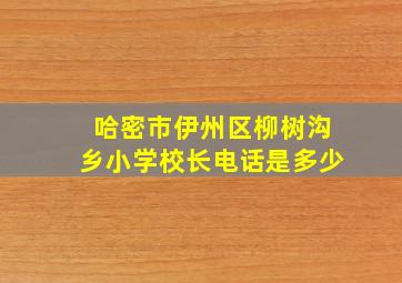 哈密市伊州区柳树沟乡小学校长电话是多少