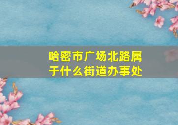 哈密市广场北路属于什么街道办事处