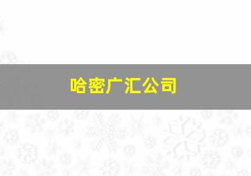 哈密广汇公司