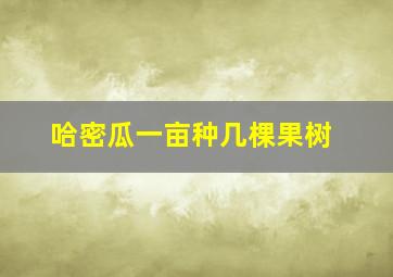 哈密瓜一亩种几棵果树