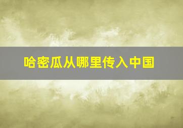 哈密瓜从哪里传入中国