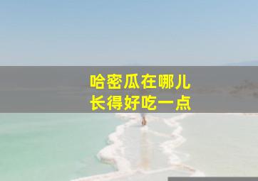 哈密瓜在哪儿长得好吃一点