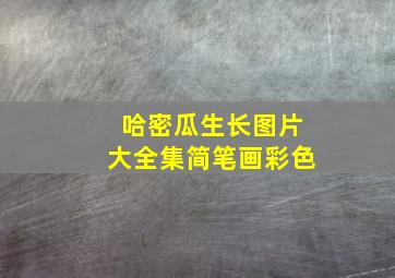 哈密瓜生长图片大全集简笔画彩色