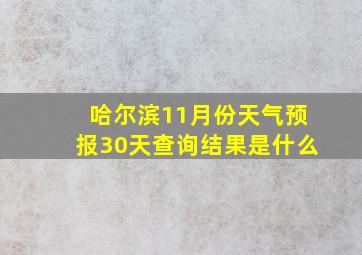 哈尔滨11月份天气预报30天查询结果是什么