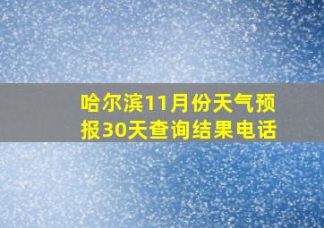 哈尔滨11月份天气预报30天查询结果电话