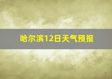 哈尔滨12日天气预报