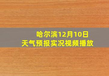 哈尔滨12月10日天气预报实况视频播放