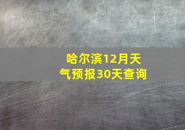 哈尔滨12月天气预报30天查询