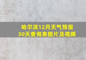 哈尔滨12月天气预报30天查询表图片及视频