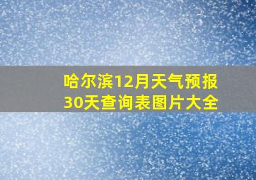 哈尔滨12月天气预报30天查询表图片大全