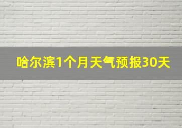 哈尔滨1个月天气预报30天