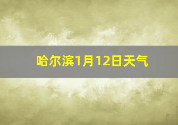 哈尔滨1月12日天气