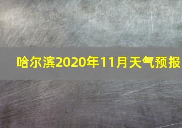 哈尔滨2020年11月天气预报