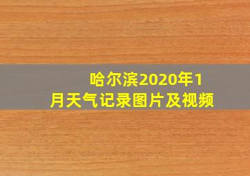 哈尔滨2020年1月天气记录图片及视频