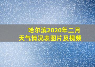 哈尔滨2020年二月天气情况表图片及视频