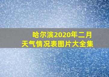 哈尔滨2020年二月天气情况表图片大全集