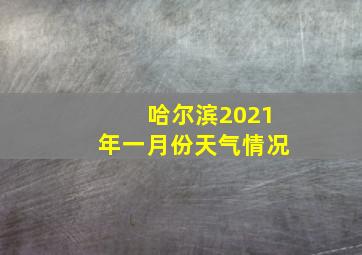 哈尔滨2021年一月份天气情况