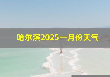 哈尔滨2025一月份天气