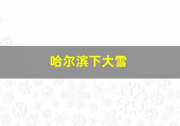 哈尔滨下大雪