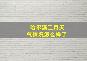 哈尔滨二月天气情况怎么样了