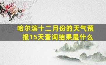 哈尔滨十二月份的天气预报15天查询结果是什么