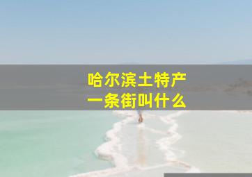 哈尔滨土特产一条街叫什么