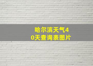 哈尔滨天气40天查询表图片