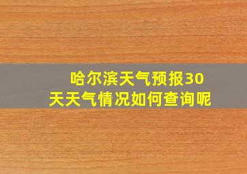 哈尔滨天气预报30天天气情况如何查询呢