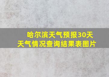 哈尔滨天气预报30天天气情况查询结果表图片