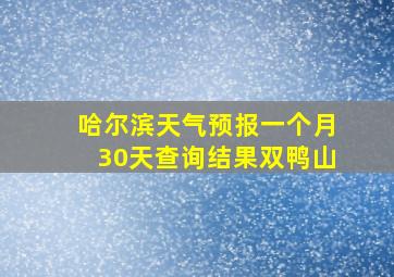 哈尔滨天气预报一个月30天查询结果双鸭山