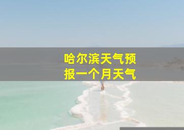 哈尔滨天气预报一个月天气