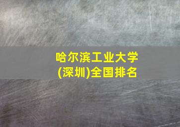 哈尔滨工业大学(深圳)全国排名