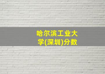 哈尔滨工业大学(深圳)分数