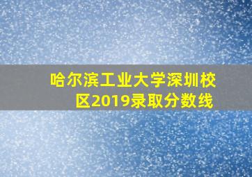 哈尔滨工业大学深圳校区2019录取分数线