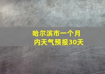 哈尔滨市一个月内天气预报30天