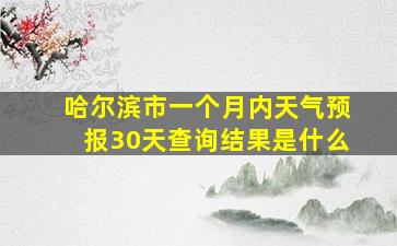 哈尔滨市一个月内天气预报30天查询结果是什么