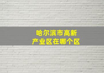 哈尔滨市高新产业区在哪个区