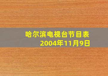 哈尔滨电视台节目表2004年11月9日