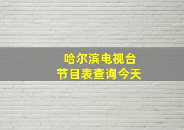 哈尔滨电视台节目表查询今天